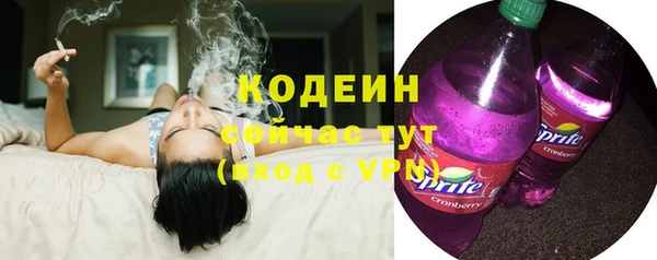 стаф Иннополис