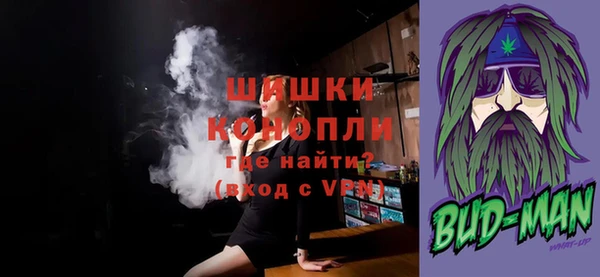 тгк Инсар
