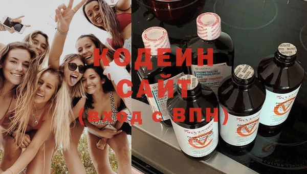 стаф Иннополис