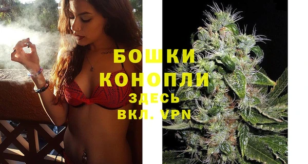 стаф Иннополис