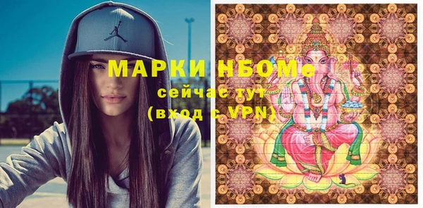 тгк Инсар