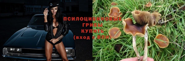 стаф Иннополис