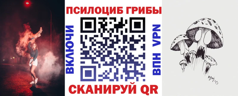 Псилоцибиновые грибы Psilocybe  Купить  Елизово 
