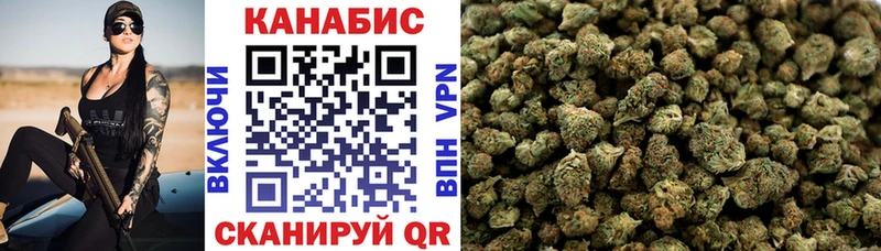 Каннабис сатива  Купить  Елизово 